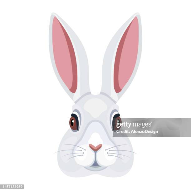rabbit head logo. mascot creative design. - hare isolated stock illustrations