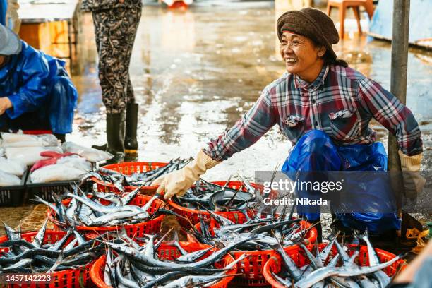 smiling vietnames woman selling fish at the market in hoi an, vietnam - fish market stock pictures, royalty-free photos & images