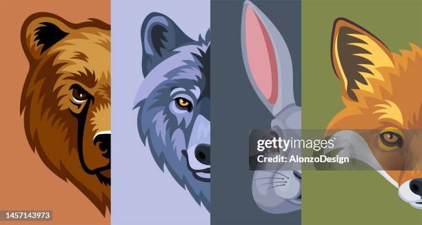 stockillustraties, clipart, cartoons en iconen met wild animals head. mascot creative design. banner. - vos