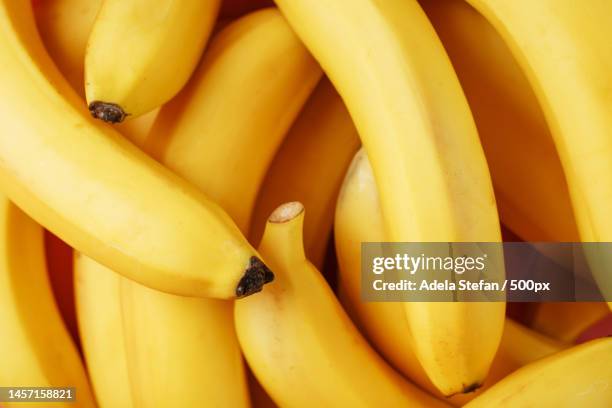 ripe and sweet yellow bananas close up full screen,romania - banane stock-fotos und bilder