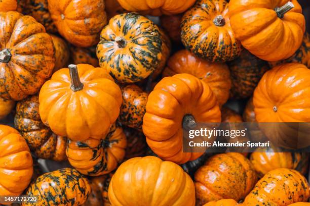 full frame shot of orange pumpkins - flaschenk