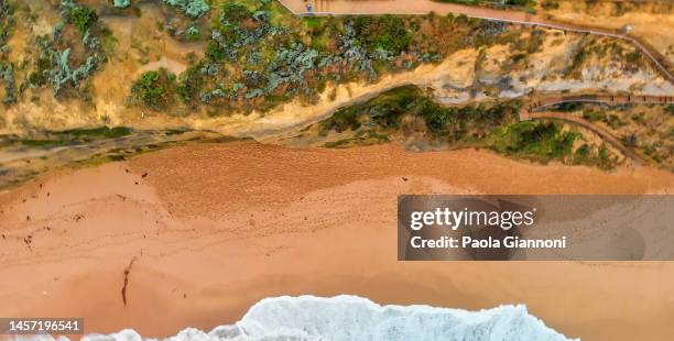 gibson steps, twelve apostles. aerial view of beautiful australian coastline - melbourne parkland stock pictures, royalty-free photos & images