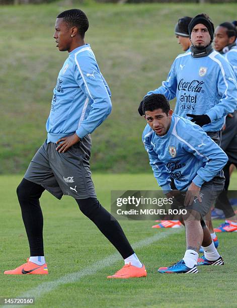 Uruguay's footballers Abel Hernandez , Walter Gargano and Mauricio Victorino stretch during a training session of the national team at the Uruguayan...