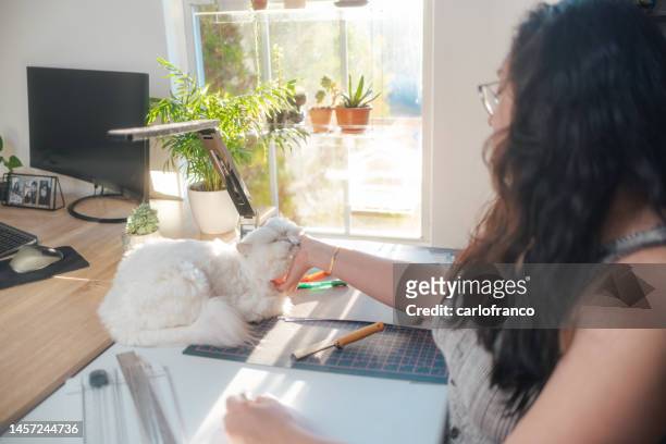 ellie - home office with pet cat - emotional support animal - lady petting cat - emotional support animal stock pictures, royalty-free photos & images