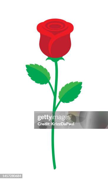 bildbanksillustrationer, clip art samt tecknat material och ikoner med rose - ros