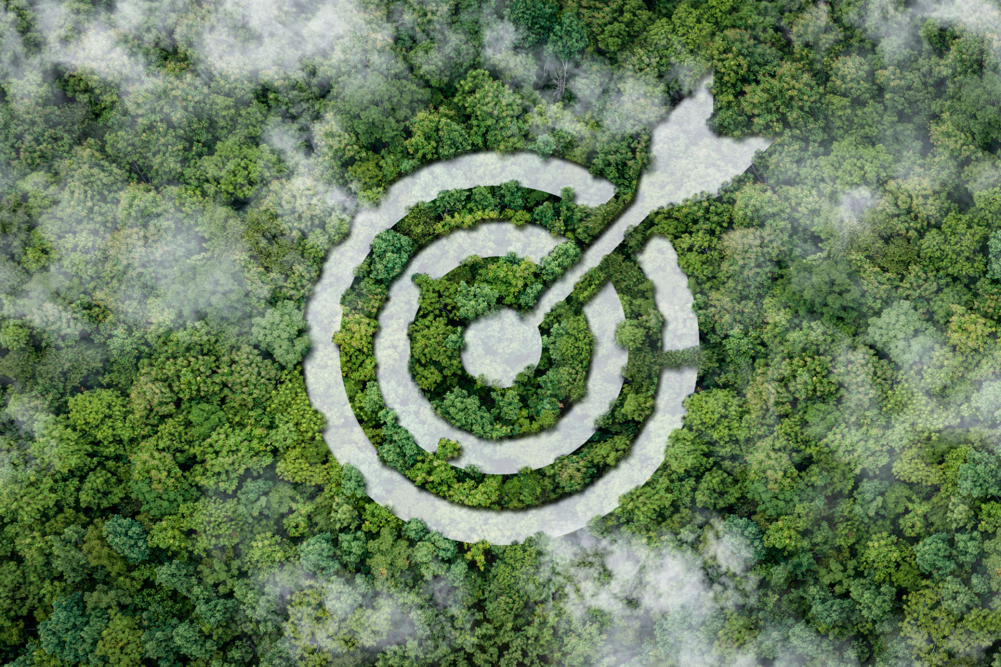 objetivo ambiental de negocios verdes, estrategias de desarrollo empresarial con conservación ambiental. Comunidad verde.Nuevo negocio verde. plan objetivo ambiental de negocios verdes, estrategias de desarrollo empresarial con conservación ambiental. Comunidad verde.Nuevo negocio verde. plan