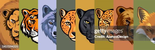 ilustraciones, imágenes clip art, dibujos animados e iconos de stock de cabeza de animales salvajes. diseño creativo de mascotas. estandarte. - zorro