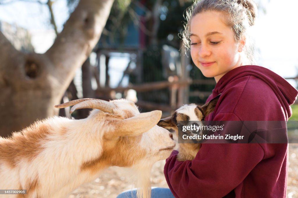 Young girl holding baby goat on farm