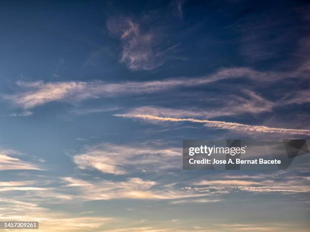 full frame of the low angle view of cirrus clouds in the sky at sunset. - 高層雲 個照片及圖片檔