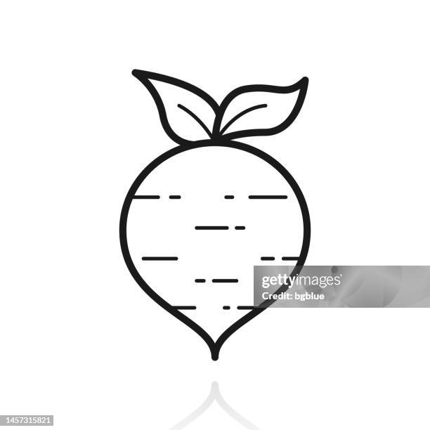beetroot. icon with reflection on white background - beetroot stock illustrations