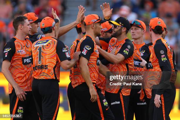 Jason Behrendorff and Andrew Tye of the Scorchers celebrate the wicket of Tim David of the Hurricanes during the Men's Big Bash League match between...