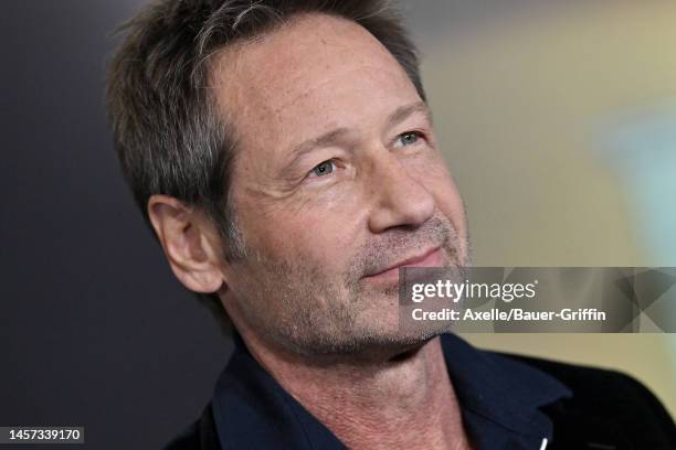 David Duchovny attends the Los Angeles Premiere of Netflix's "You People" at Regency Village Theatre on January 17, 2023 in Los Angeles, California.