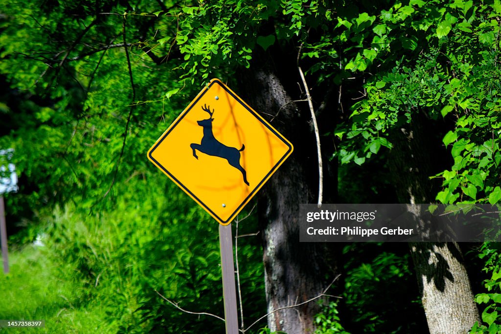 Deer Crossing Sign