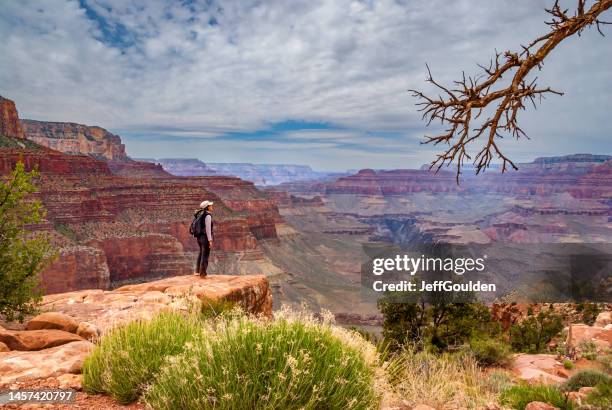 young woman hiker standing on the canyon rim - grand canyon nationalpark stock pictures, royalty-free photos & images