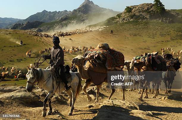 This picture taken on June 2, 2012 shows Kazakh nomads herding their livestocks with their caravan across a plain in Altay, farwest China's Xinjiang...