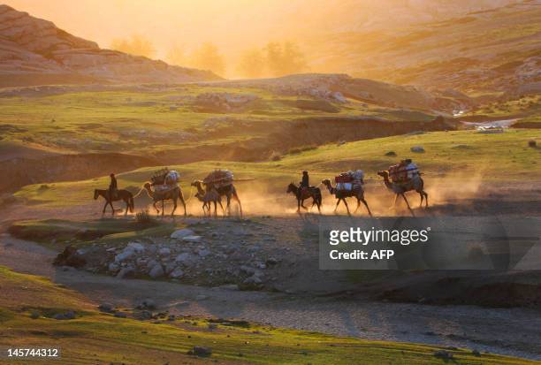 This picture taken on June 2, 2012 shows Kazakh nomads herding their livestocks with their caravan across a plain in Altay, farwest China's Xinjiang...