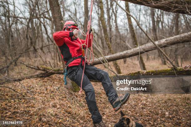 a rescuer from the mountain rescue service descends from a steep terrain in the forest - tree service stock pictures, royalty-free photos & images