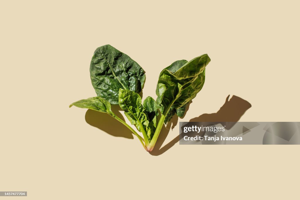 Fresh green spinach leaves on beige background. Healthy food, diet and detox concept. Flat lay, top view, copy space