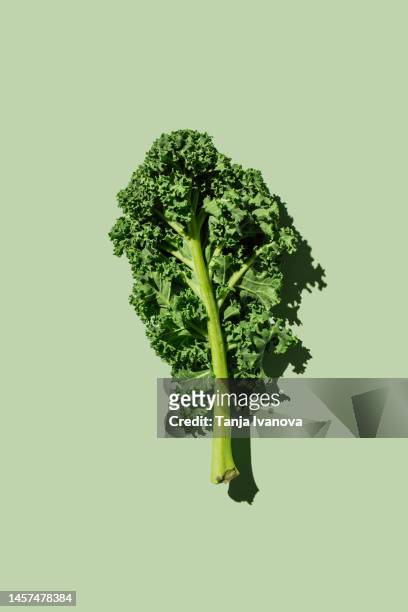 fresh green organic kale leaves on green background. healthy food, diet and detox concept. flat lay, top view - crucifers stock pictures, royalty-free photos & images