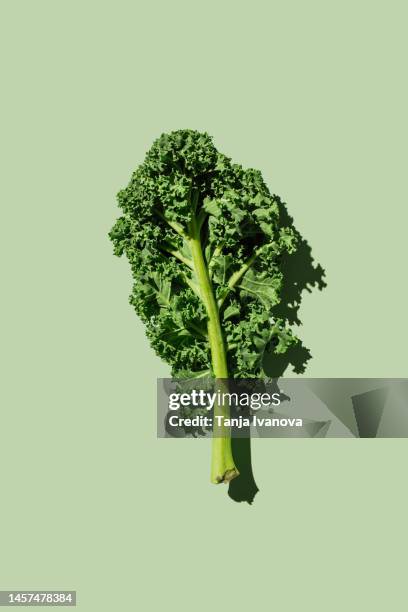 fresh green organic kale leaves on green background. healthy food, diet and detox concept. flat lay, top view - crucifers 個照片及圖片檔