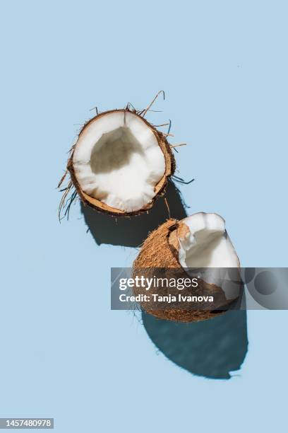 ripe coconuts on blue background. creative summer concept. half of coconut in minimal flat lay style. top view, copy space - kokosnuss stock-fotos und bilder