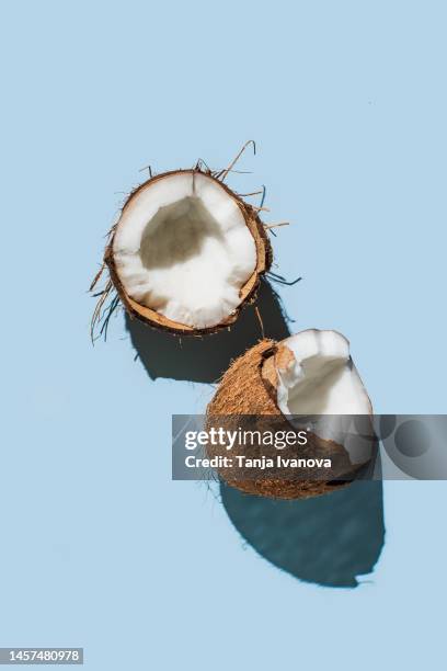 ripe coconuts on blue background. creative summer concept. half of coconut in minimal flat lay style. top view, copy space - coconut water isolated stock pictures, royalty-free photos & images