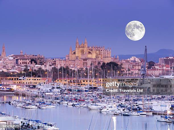 moon over palma cathedral, mallorca, spain - palma mallorca stock-fotos und bilder