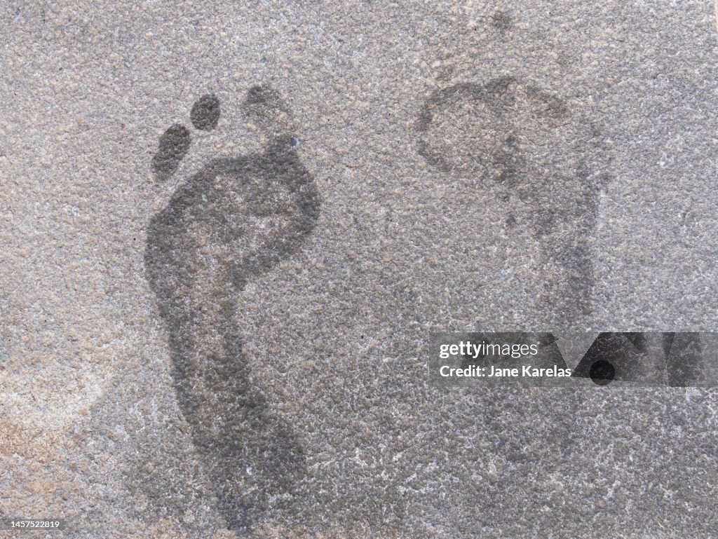 Human Footpath Texture Human Footprints In Concrete Pavement Texture High-Res Stock Photo ...