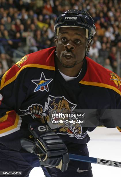 Peter Worrell of the Florida Panthers skates against the Toronto Maple Leafs during NHL game action on October 23, 2002 at Air Canada Centre in...