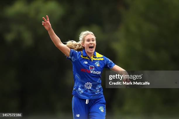 Holly Ferling of the Meteors appeals during the WNCL match between ACT and Tasmania at EPC Solar Park on January 19 in Canberra, Australia.