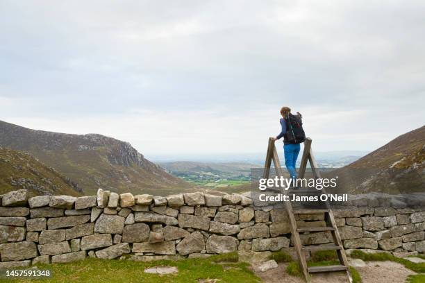 lone female hiker walking over wooden stile in the countryside - stye stock pictures, royalty-free photos & images