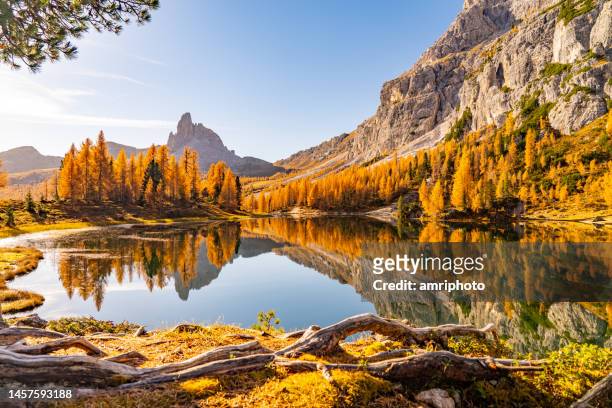 美しい山の湖での晴れた秋の日 - トレンティーノ・アルト・アディジェ州 ストックフ��ォトと画像