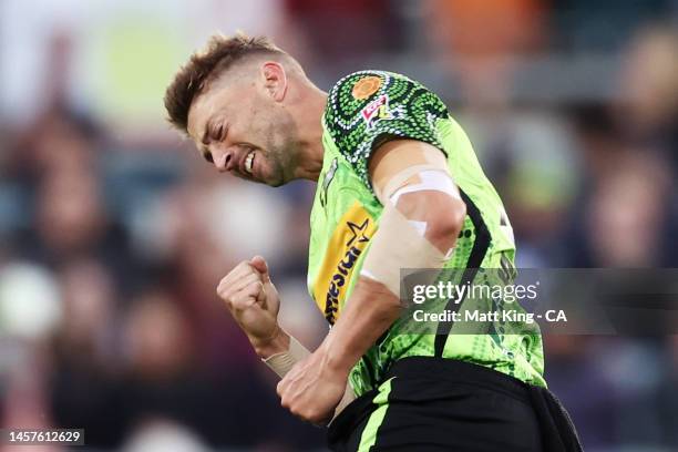 Daniel Sams of the Thunder celebrates taking the wicket of Martin Guptill of the Renegades during the Men's Big Bash League match between the Sydney...