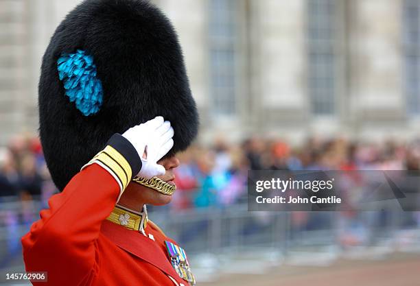 Guardsman takes the salute on the Mall near Admiralty Arch during the Diamond Jubilee celebrations on June 5, 2012 in London, England. For only the...