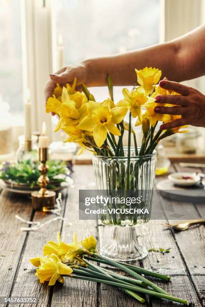 women hands making springtime flowers arrangement with yellow daffodils in glass vase - påsklilja bildbanksfoton och bilder