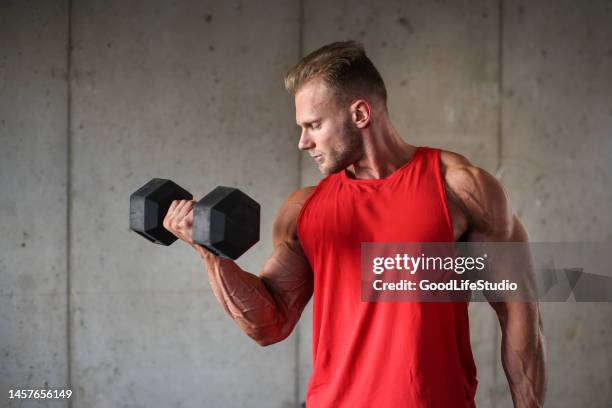 bicep exercise - body builders stock pictures, royalty-free photos & images