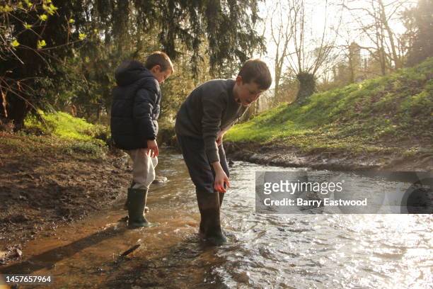 two boys exploring in stream - sibling kids stock pictures, royalty-free photos & images
