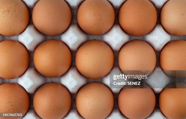 brown eggs on an egg tray - egg carton stock pictures, royalty-free photos & images