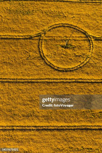 aerial photograph over wheat harvest crop field agriculture farming background - monoculture stock pictures, royalty-free photos & images