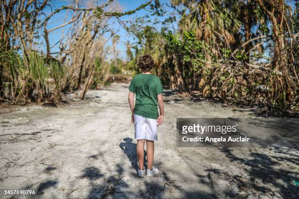 sanibel island after hurricane - angela auclair stock pictures, royalty-free photos & images