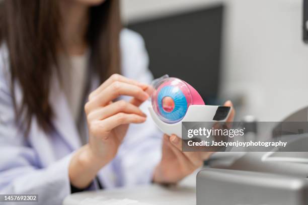 ophthalmologist with model of an eye - córnea imagens e fotografias de stock