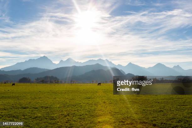 bright sun in the allgäu (bavaria/ germany) - allgau stock pictures, royalty-free photos & images