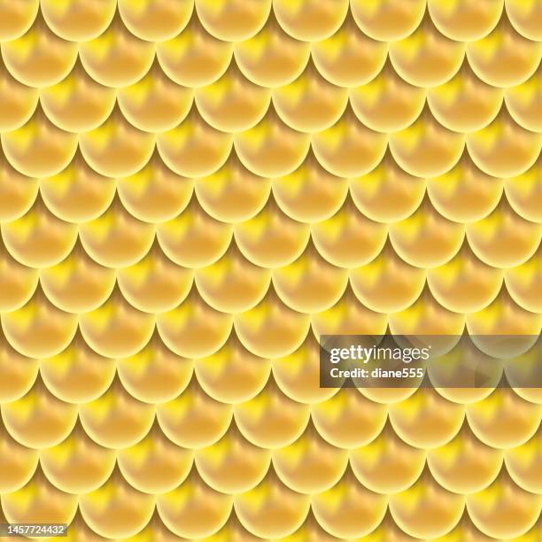 15 Fish Skin Texture High Res Illustrations - Getty Images