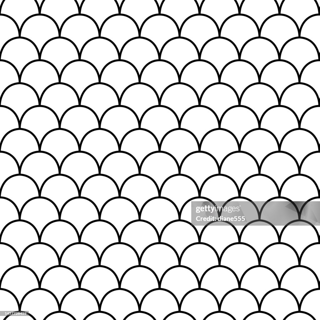 Scale Check Pattern Seamless Pattern Of Fish Scales High-Res Vector Graphic - Getty Images