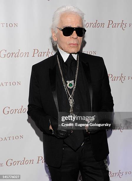 Karl Lagerfeld attends the Gordon Parks Foundation Centennial Gala at the Museum of Modern Art on June 5, 2012 in New York City.