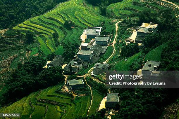 terraced field - mianyang stockfoto's en -beelden