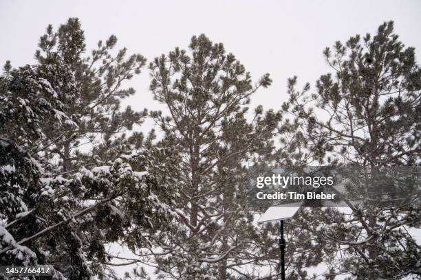 starlink antenna dish mounted to a pole. falling snow melts off the heated dish. - transmissão via satélite - fotografias e filmes do acervo