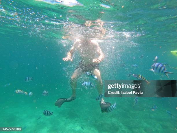 underwater view of man snorkeling in tropical sea - looking under sink stock pictures, royalty-free photos & images