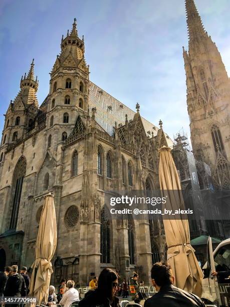 st stephen’s cathedral- top to bottom - centro de viena imagens e fotografias de stock