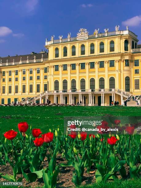 `red flower palace - schonbrunn palace vienna stock pictures, royalty-free photos & images